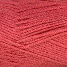 Load image into Gallery viewer, Dizzy Sheep - Plymouth Encore Worsted _ 0461 Living Coral Lot 626524