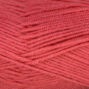 Dizzy Sheep - Plymouth Encore Worsted _ 0461 Living Coral Lot 626524