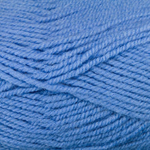 Load image into Gallery viewer, Dizzy Sheep - Plymouth Encore Worsted _ 0471 Blue Hydrangea Lot 638763