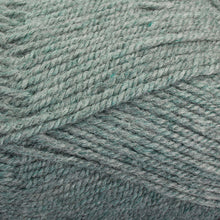 Load image into Gallery viewer, Dizzy Sheep - Plymouth Encore Worsted _ 0678 Lt Green Forest Mix Lot 638211
