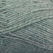 Load image into Gallery viewer, Dizzy Sheep - Plymouth Encore Worsted _ 0678 Lt Green Forest Mix Lot 638211