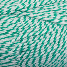 Load image into Gallery viewer, Dizzy Sheep - Plymouth Encore Worsted _ 1004 Peppermint Lot 41081
