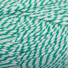 Load image into Gallery viewer, Dizzy Sheep - Plymouth Encore Worsted _ 1004 Peppermint Lot 41081
