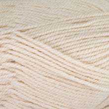 Load image into Gallery viewer, Dizzy Sheep - Plymouth Encore Worsted _ 1202 Sand Lot 626069
