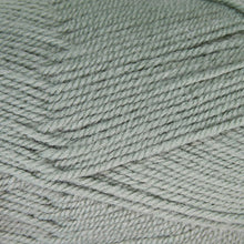 Load image into Gallery viewer, Dizzy Sheep - Plymouth Encore Worsted _ 1232 Light Greenhouse Lot 616166
