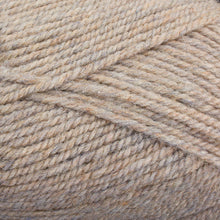 Load image into Gallery viewer, Dizzy Sheep - Plymouth Encore Worsted _ 1415 Fawn Mix Lot 638763