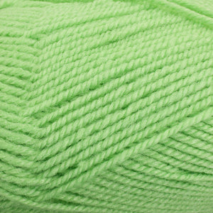 Dizzy Sheep - Plymouth Encore Worsted _ 3335 Rio Lime Lot 622877