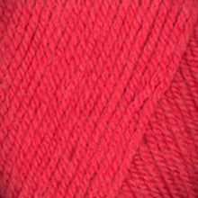 Load image into Gallery viewer, Dizzy Sheep - Plymouth Encore Worsted _ 9853 Tiger Lily Lot 620420