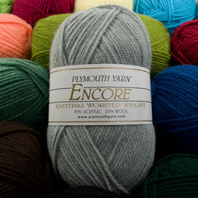 Load image into Gallery viewer, Plymouth Encore Worsted