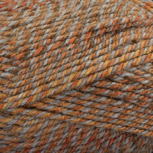 Load image into Gallery viewer, Dizzy Sheep - Plymouth Encore Worsted Colorspun _ 7172 Copper Drift lot 625060
