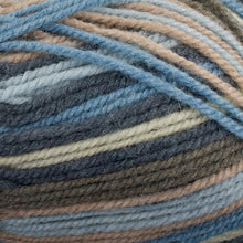 Load image into Gallery viewer, Dizzy Sheep - Plymouth Encore Worsted Colorspun _ 7653 Denim lot 53676
