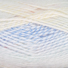 Load image into Gallery viewer, Dizzy Sheep - Plymouth Encore Worsted Colorspun _ 7745 Lullaby lot 628257

