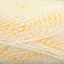 Load image into Gallery viewer, Dizzy Sheep - Plymouth Encore Worsted Colorspun _ 7748 Lemon Sherbert lot 618659
