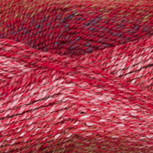 Load image into Gallery viewer, Dizzy Sheep - Plymouth Encore Worsted Colorspun _ 7794 Reds lot 621037
