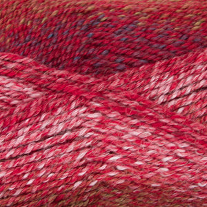 Dizzy Sheep - Plymouth Encore Worsted Colorspun _ 7794 Reds lot 621037