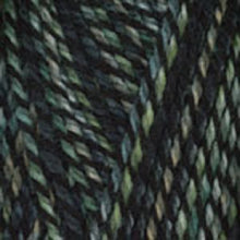 Load image into Gallery viewer, Dizzy Sheep - Plymouth Encore Worsted Colorspun _ 7810 Green Gray lot 625063
