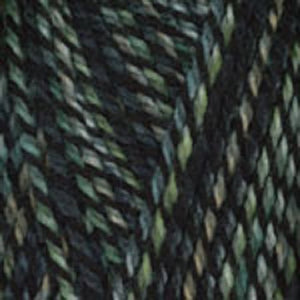 Dizzy Sheep - Plymouth Encore Worsted Colorspun _ 7810 Green Gray lot 625063