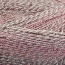 Load image into Gallery viewer, Dizzy Sheep - Plymouth Encore Worsted Colorspun _ 7990 Raspberry Drift lot 628259
