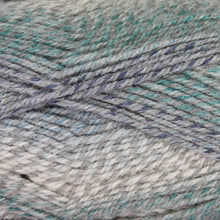 Load image into Gallery viewer, Dizzy Sheep - Plymouth Encore Worsted Colorspun _ 7991 Ocean Drift lot 628259

