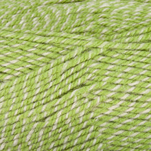 Load image into Gallery viewer, Dizzy Sheep - Plymouth Encore Worsted Colorspun _ 7993 Lime Spun lot 53674

