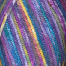 Load image into Gallery viewer, Dizzy Sheep - Plymouth Encore Worsted Colorspun _ 8004 Rainbow lot 628260
