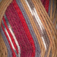 Load image into Gallery viewer, Dizzy Sheep - Plymouth Encore Worsted Colorspun _ 8125 Southwest Mix lot 56807
