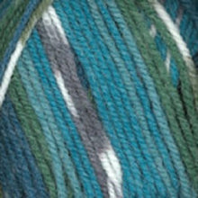 Load image into Gallery viewer, Plymouth Encore Worsted Colorspun
