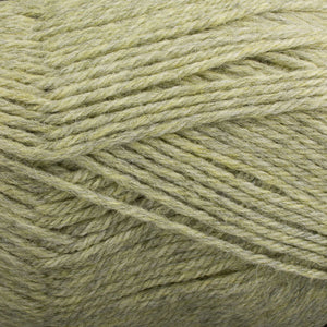 Dizzy Sheep - Plymouth Galway Worsted _ 0748 Pistachio Heather lot 4855