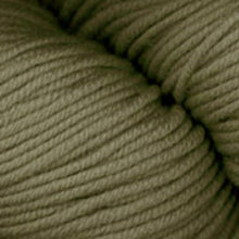 Load image into Gallery viewer, Dizzy Sheep - Plymouth Worsted Merino Superwash _ 017 Cilantro lot 210429
