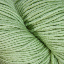 Load image into Gallery viewer, Dizzy Sheep - Plymouth Worsted Merino Superwash _ 069 Primavera lot 375115
