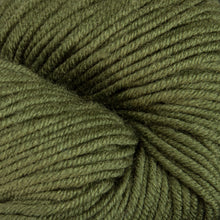 Load image into Gallery viewer, Dizzy Sheep - Plymouth Worsted Merino Superwash _ 078 Pesto lot 74666
