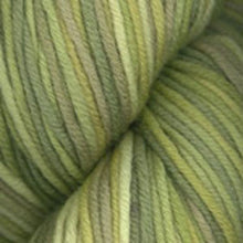 Load image into Gallery viewer, Dizzy Sheep - Plymouth Worsted Merino Superwash Hand Dyed _ 0101, Lime Tango, Lot: 12025
