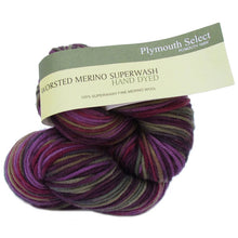 Load image into Gallery viewer, Dizzy Sheep - Plymouth Worsted Merino Superwash Hand Dyed
